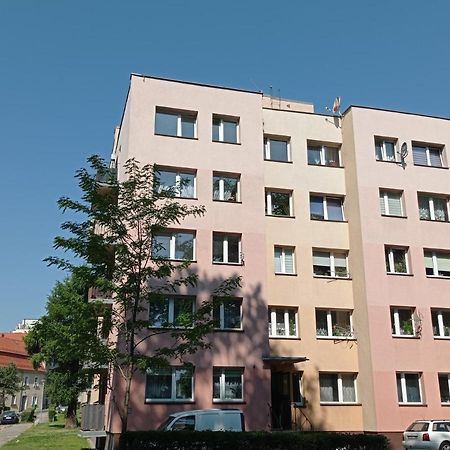 MirskBabcares Apa Gory Izerskie公寓 外观 照片