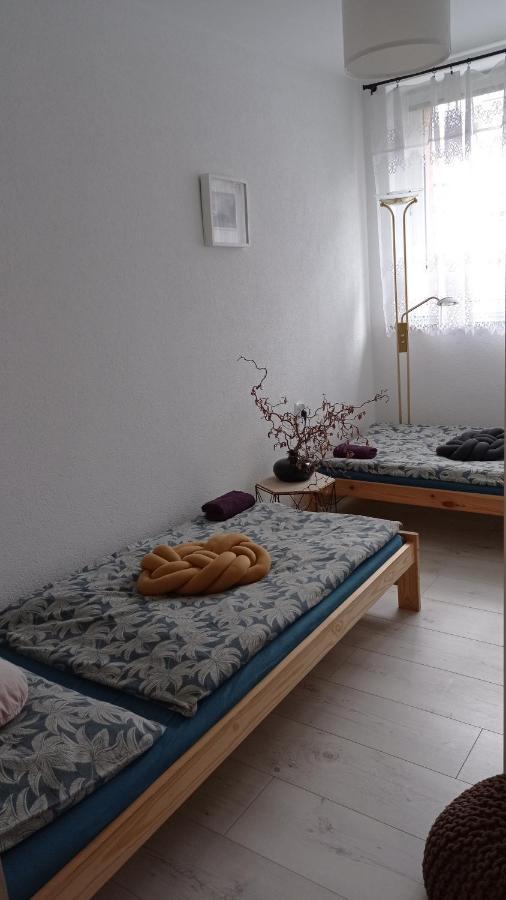 MirskBabcares Apa Gory Izerskie公寓 外观 照片