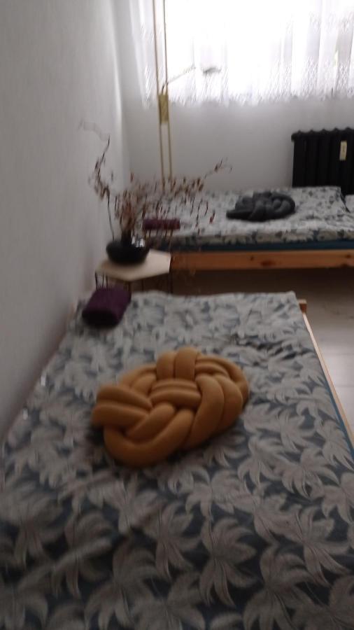 MirskBabcares Apa Gory Izerskie公寓 外观 照片