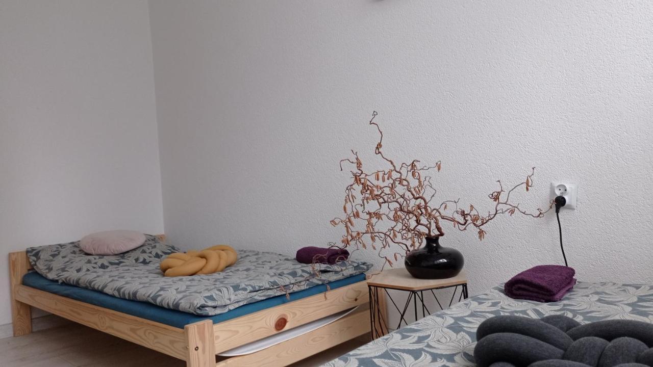 MirskBabcares Apa Gory Izerskie公寓 外观 照片